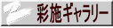 　彩施ギャラリー