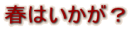 �t�͂������H