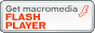 ���̃{�^������AFlash Player �̍ŐV�o�[�W�������_�E�����[�h���邱�Ƃ��ł��܂��B