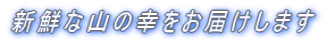 �o�[�x�L���[