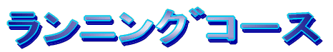 ݸ޺