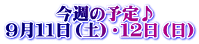 今週の予定♪ 9月11日(土)・12日(日)