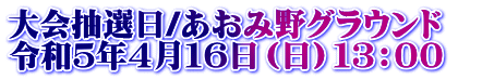 大会抽選日/あおみ野グラウンド 令和5年4月16日(日)13:00