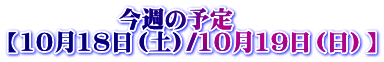 @@@  @T̗\ y1018iyj/1019ijz