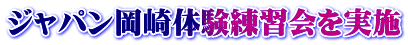�W���p������̌����K������{