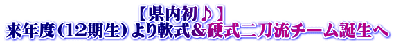 �@�@�@�@�@�@�@�@�y��������z ���N�x(�P�Q�����j������d���񓁗��`�[���a����
