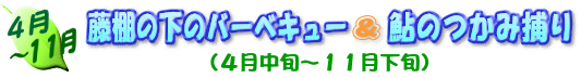 4〜11月 藤棚の下のバーベキュー&鮎のつかみ捕り